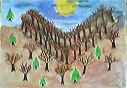 Trees Harmony, by Catalina Iordan