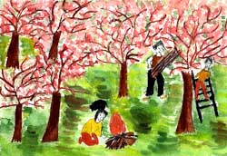 Apple Flowers, by Razvan Giurgiu