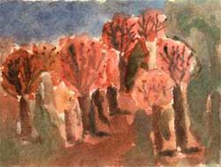 Colours of Autumn, by Toader C�t�lina