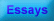 Essays wirtten by students