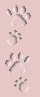 pawbarleft
