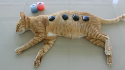 massagem3