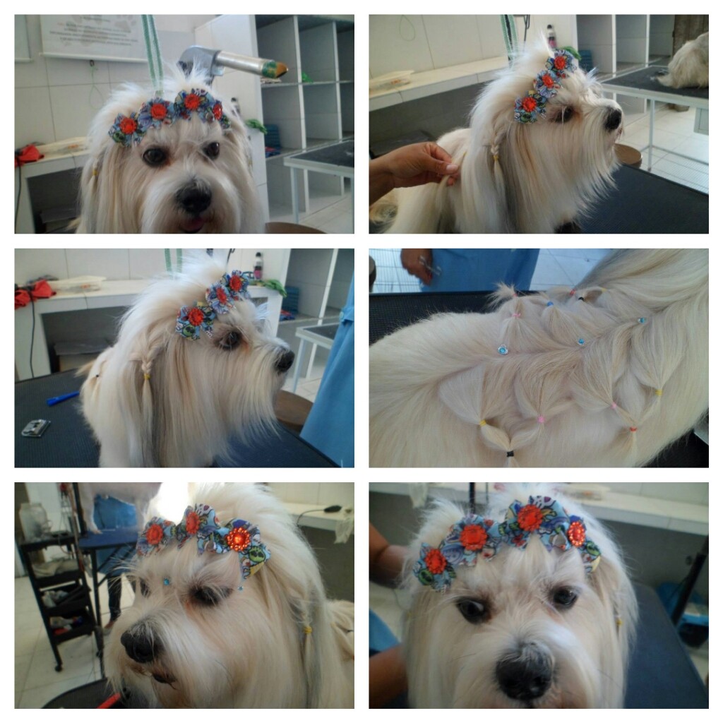 penteado