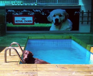 piscina
