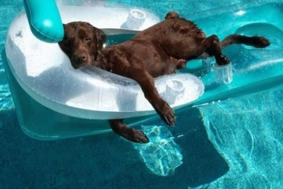piscina1