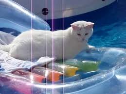 piscina3