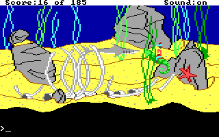 Adventure awaits under the water as well