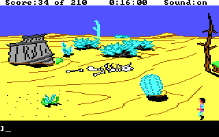 Walking in a desert landscape