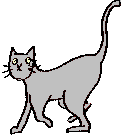 walking cat