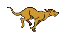 running dog