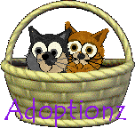 Adoptionz