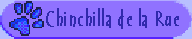 Chinchilla de la Rue