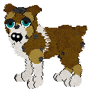 PETFILE: AUSSIE BREEDFILE NEEDED