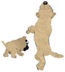 This is Muttly's girlfriend, Millie. She's also an adult with natural vanilla coloring. Puppy not included. Click her to download her.