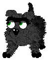 This is Tomy, a bulldog. He's an adult and very sweet. Click him to download him.