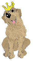 This is Muttly. He's a first generation Labrador, and he's naturally this vanilla color! He's and adult. Click him to download him!