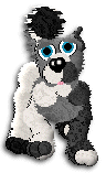Hi! I'm Denver and Welcome to PPSC!
