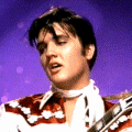 ELVIS IN HOLLYWOOD - DOWNLOAD & STREAM RARE REALMEDIA