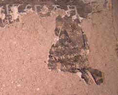 kerkgrafitti.jpg (43644 bytes)