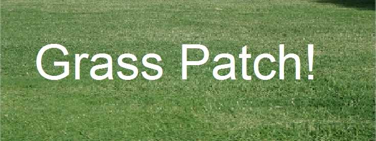 Grass Patch!