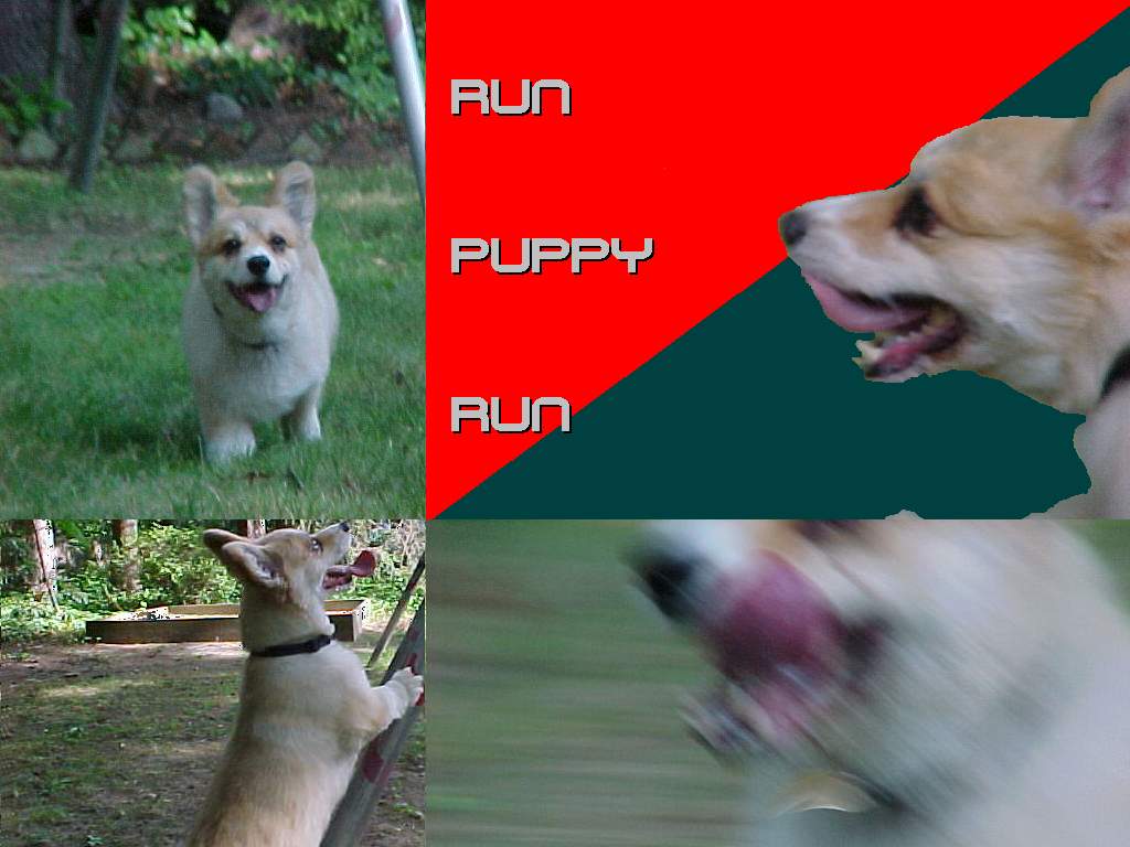 640 X 480 pixels