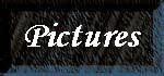 Pictures