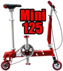 Folding Bike Activity !!!