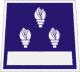ni�ji gasilski �astnik II stopnje