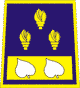 visoki gasilski �astnik II stopnje