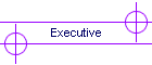 Executive
