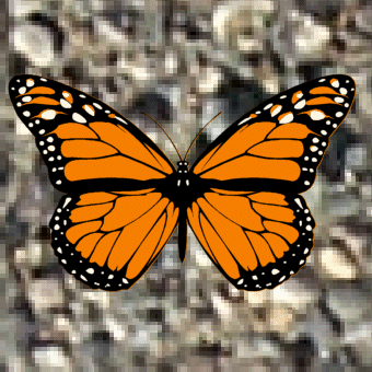 image of gravel 