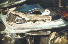 Head light (left)