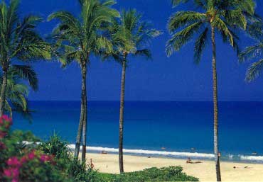 Sunny beach 