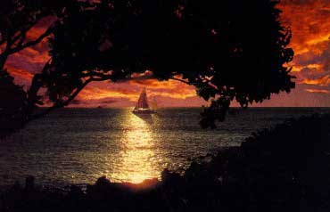 Purple sunset with sailboat 