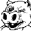 pig