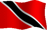 T&T Flag