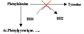M�tabolisme anormal