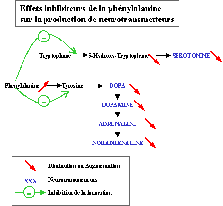 Neurotransmetteurs