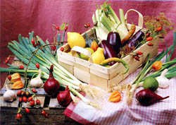 panier.jpg (26644 octets)