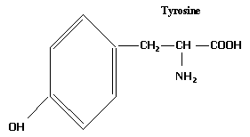 Tyrosine