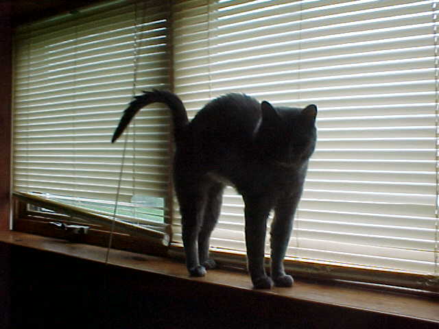 Can you see me?