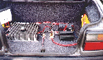 wires.gif