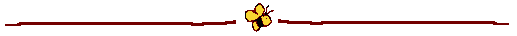 beebar