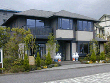 COMPLETE VIEW OF THE HOUSE AND ENTRANCE