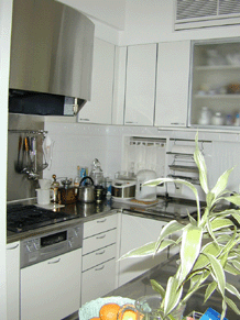 SKELETON INFILLING HOUSE SAMPLE/KITCHEN