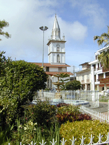 VIEW OF CENTRAL PARK AND CHURCH