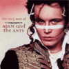 adam and the ants