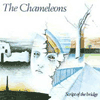 the chameleons