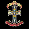 guns n' roses