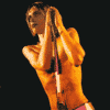 the stooges